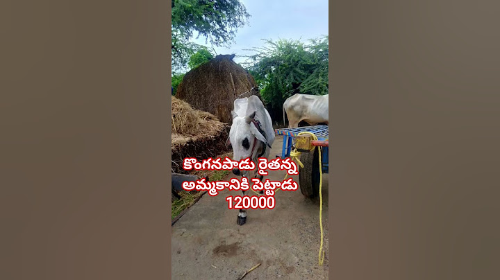 నేను ఉండే కల్లూరు మండలం కర్నూలు జిల్లా కొంగనపాడు గ్రామం రైతన్న అమ్మకానికి పెట్టిన కోడలు సైజు 55.#fa