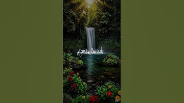 سورة القيامه- لا اقسم بيوم القيامة. #اكسبلور #القزابري #quranchapter #المصحف #دويتو #quranverse