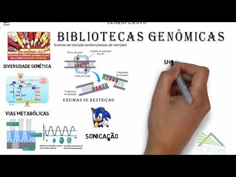 Vídeo: PathOS: Um Sistema De Suporte à Decisão Para Relatar Sequenciamento De Alto Rendimento De Cânceres Em Laboratórios De Diagnóstico Clínico