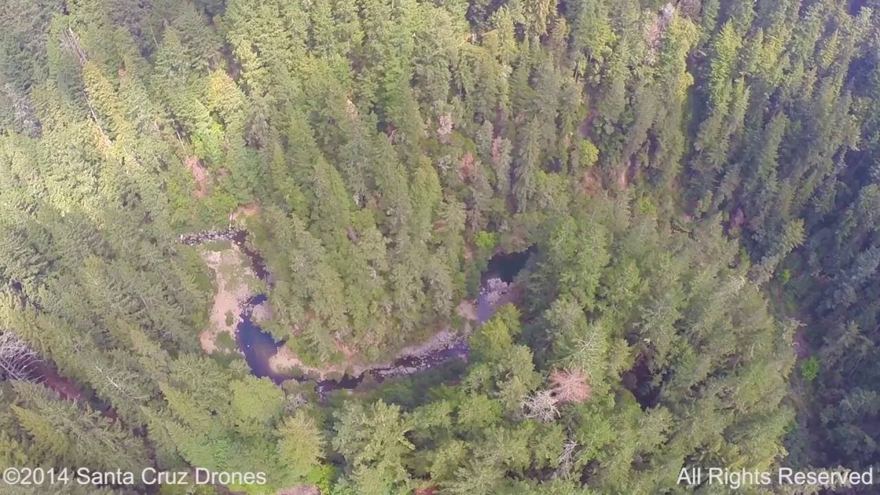 Drone S Aerial View Of Garden Of Eden In Henry Cowell State Park
