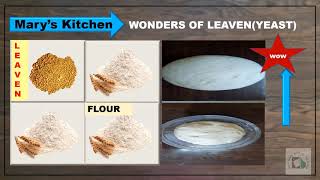 Std 5&6 - Lesson 2 - The Mustard Seed and the Leaven | July 12, 2020 | DCC