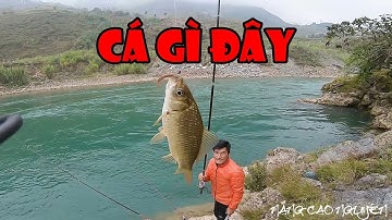 CÂU CÁ Ở SÔNG NHO QUẾ | KHÁM PHÁ CÙNG NCN