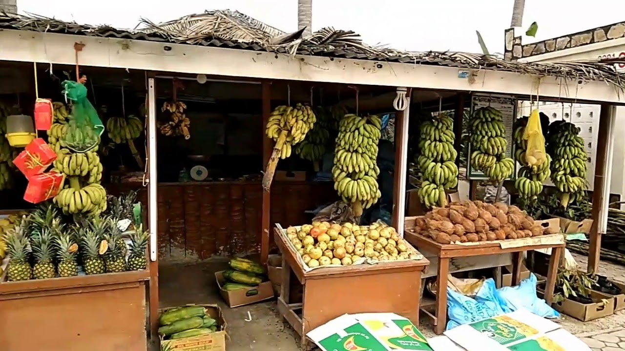 Salalah Oman 👉 fresh Juice & Fruits Market atrtraveler YouTube