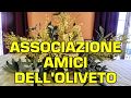ASSOCIAZIONE AMICI DELL&#39;OLIVETO