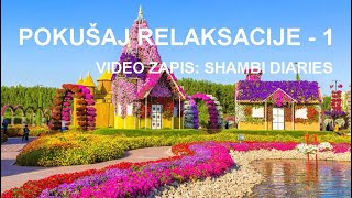 POKUŠAJ RELAKSACIJE - 1; Video zapis: SHAMBI DIARIES