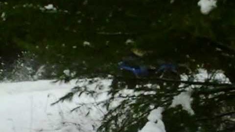 riding in the snow 2010 polaris 250