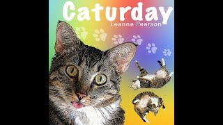 Caturday - Leanne Pearson (cute and funny cat compilation)