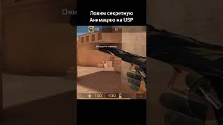 Ллвим секретку на  USP #standoff2