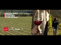 #ChileCreatingFuture  - Conectar con la naturaleza en cada copa de vino orgánico  | Marca Chile