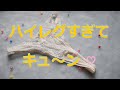 気持ちがキュン＊となるような 素敵な下着 紹介します。