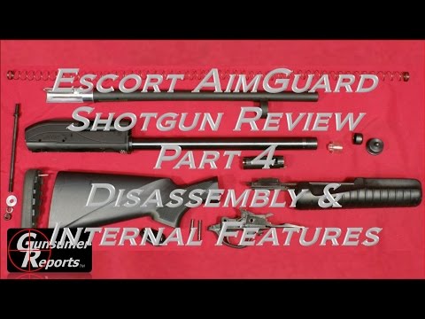 Hatsan Escort Shotgun Problems