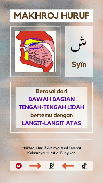 13 | MAKHROJ HURUF | syin (ش) |  Asal Tempat Keluarnya Huruf Hijaiyyah di Bunyikan