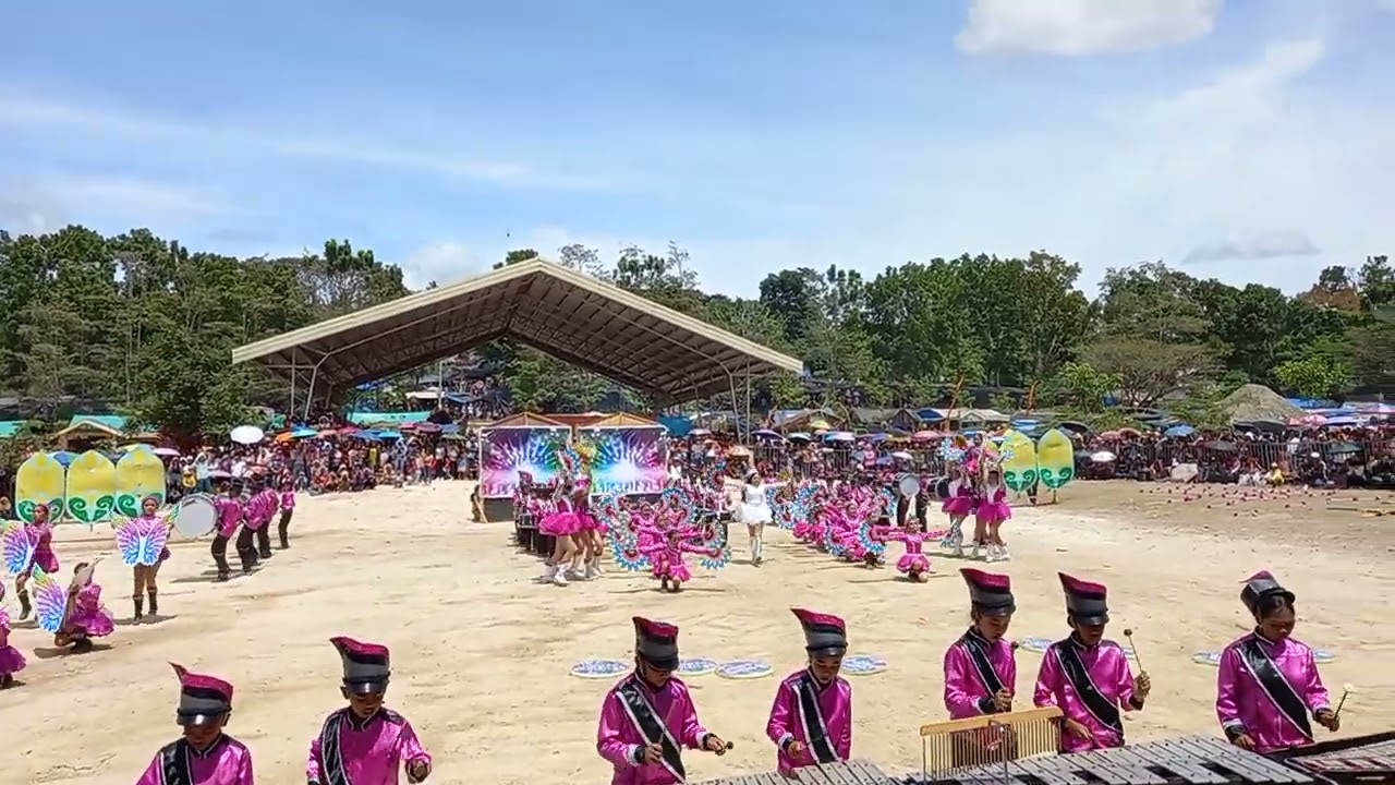 Malinao Central Elementary School Drum&Lyre Corps. Compitation 2023 Champion🏆