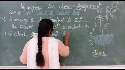 METROS CLASS IV SCIENCE ASSIGNMENT VIDEO DAY 6