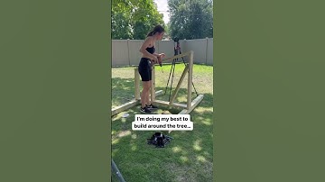 Building my kids a treehouse, what would you add?!