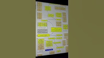 Lập Trình Viên Mới Nên Biết Tới Website Này