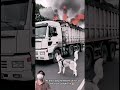 the brave dog warned the driver as the truck caught fire 🔥 #dog #rescue #warning