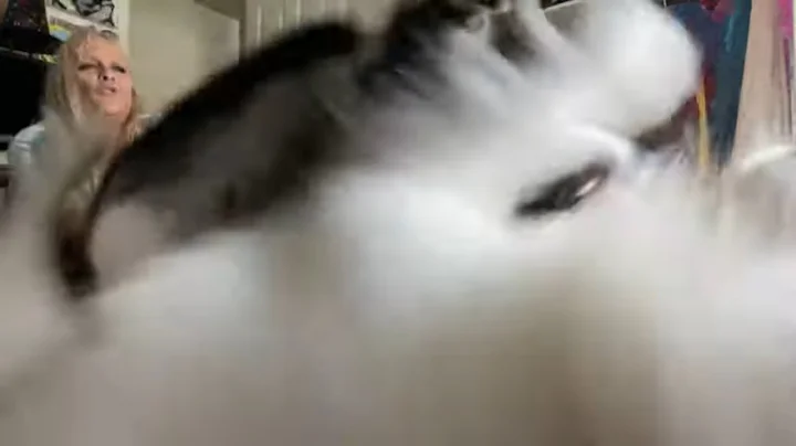 That Was Scary Live