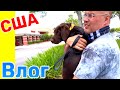 США Влог Едем к Ветеринару Милке плохо Отношение к собакам в Америке Большая семья в США /USA Vlog/