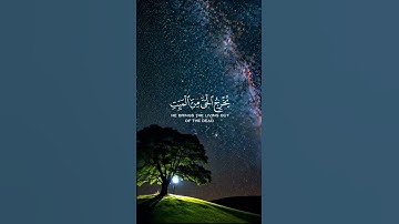 (فسبحان الله حين تمسون وحين تصبحون)  تلاوة خاشعة