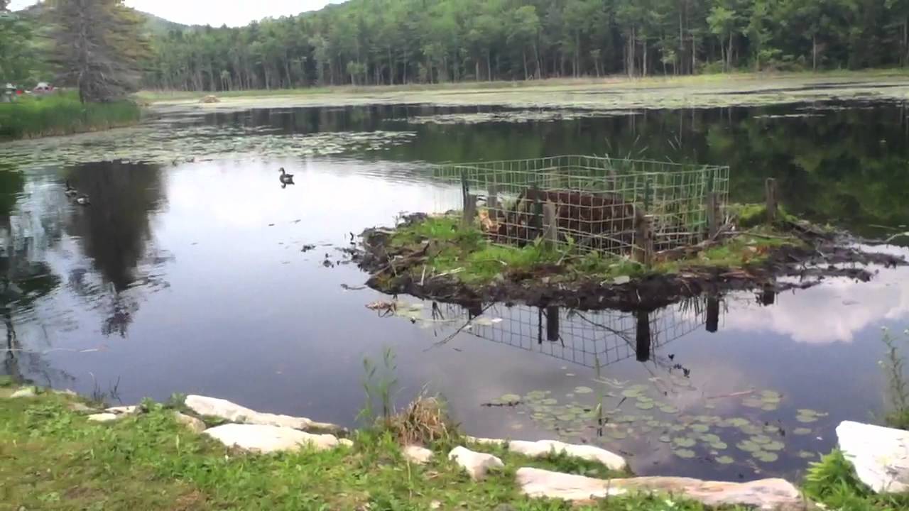 Fountain Pond State Park YouTube