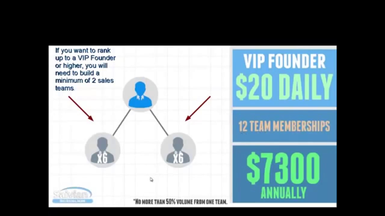 Saivian business opportunity , i ll build with you