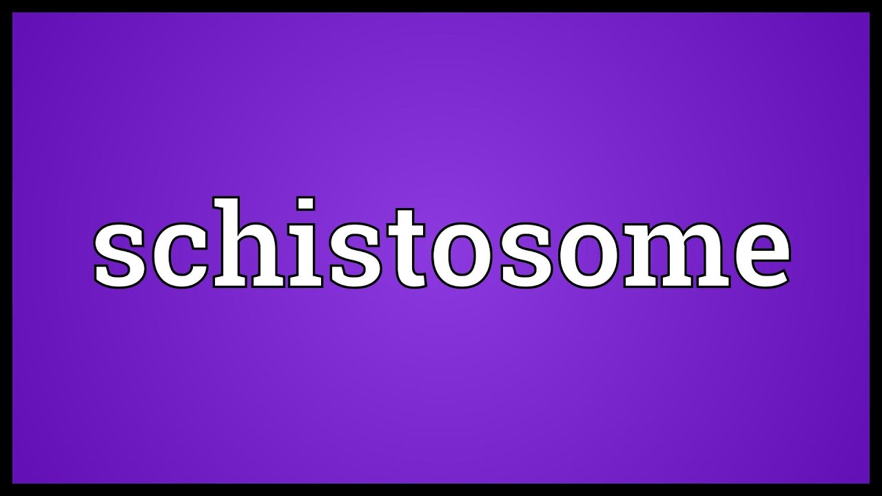 Schistosomiasis kezelés adagolása