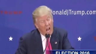 Donald Trump President Rappers Delight Parody Comedy Humor