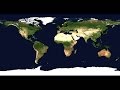 If the earth was flat how gravity would work animation by vsuace and yeti dynamics