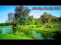 Himalayan flute music  meditation music  morning flute music  