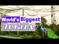 INSIDE World's 3rd Largest CAGE | Full Video |