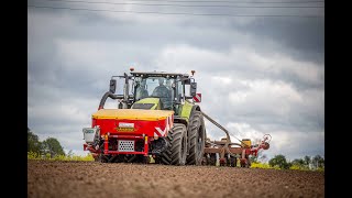 Mais legen 2024 | Claas Axion 870 | Väderstad Tempo 8