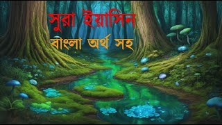 সুরা ইয়াসিন বাংলা অর্থ সহ | মিশারি রশিদ আল আফাসির তিলাওয়াত।  misharyrashidalfasy  yasin onubad