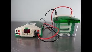 Bio-Rad Powerpac Basic Mini Electrophoresis System