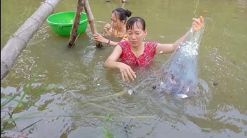 Giăng lưới cá sặc trong ao nhà và cái kết bất ngờ