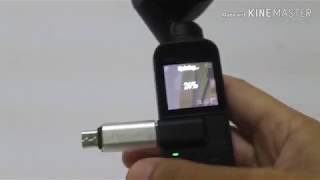 DJI Osmo Pocket Firmware Update v1.3.0.20 (Problem, Solved)