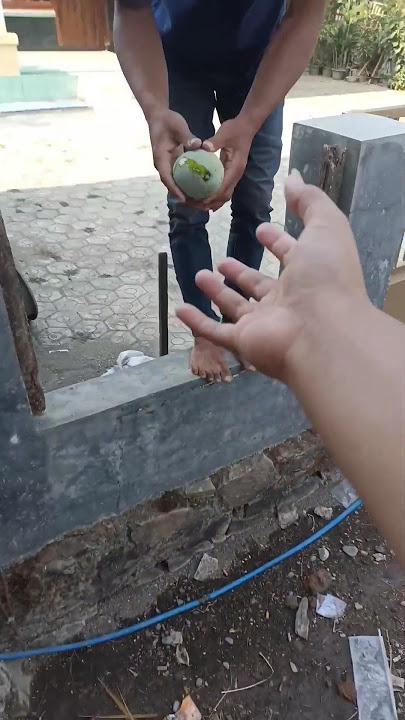 Mango thief #comedy #shorts #mango