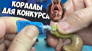 видео: ЧАСТЬ 1 | Заселяю кораллы в морской аквариум для конкурса картинка: ЧАСТЬ 1 | Заселяю кораллы в морской аквариум для конкурса