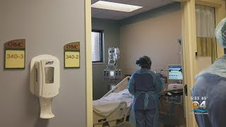 What Should I Do If I Test Positive For COVID?