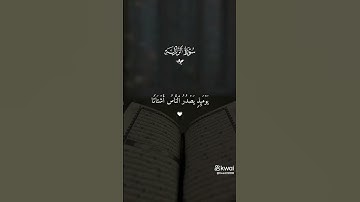 احترم القرآن الكريم شفيعك يوم القيامة