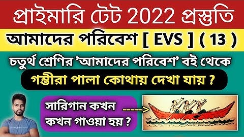 EVS Class , Part 13 || Primary TET 2022 || চতুর্থ শ্রেণির 