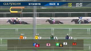 Gulfstream Park Race 8 | March 13, 2016