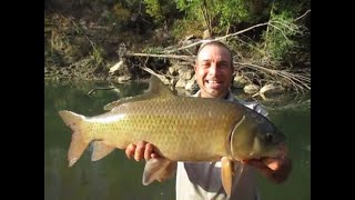 Ep.370-  Creek Fishing Multi Species During Warm Front Mid October