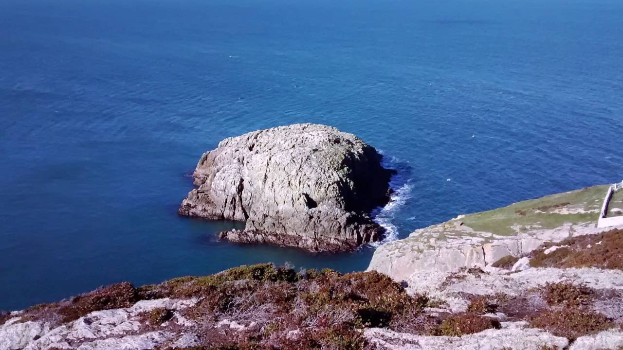 Time Flow, Time Freeze