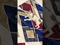 Cat video