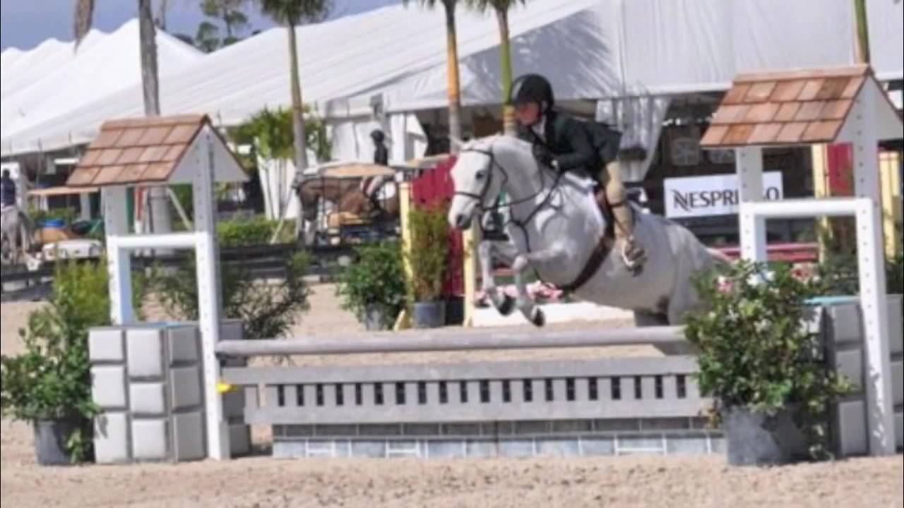 Hillcrest Blue Halo [INCOMPLETE]