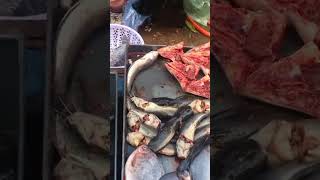 Amazing Asian live market | Real life street food local stall compilation 0001