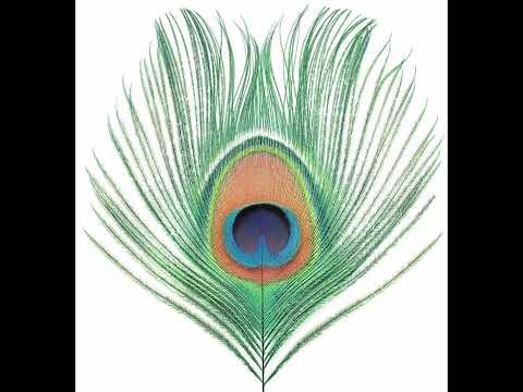 洋楽 XTC / Apple Venus Volume 1 hqdefault.jpg?sqp=-