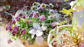 《春へ向けて始動》古い土を再生してリサイクル＊庭の手入れあれこれ《T's GardenのガーデニングSDGs》
