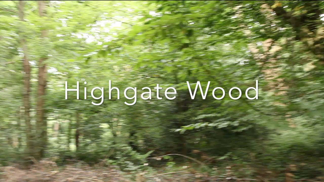 Golfington Highgate Wood course walkthrough